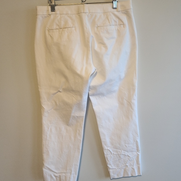 Banana Republic Sloan size 10 crop pant - Picture 3 of 5